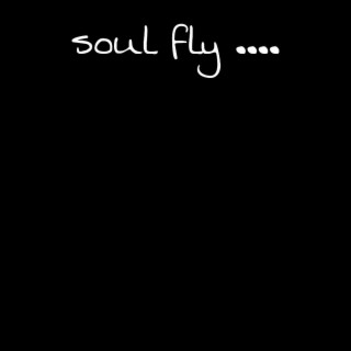 soul fly