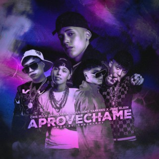 Aprovéchame (Remix) lyrics | Boomplay Music