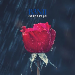 Raindrops lyrics | Boomplay Music