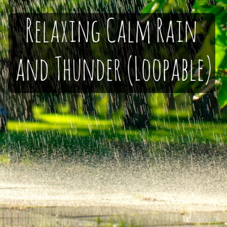 Relaxing Rain and Thunder | Boomplay Music