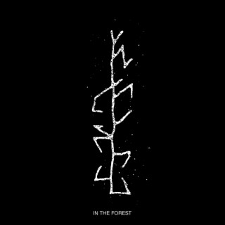 In The Forest lyrics | Boomplay Music