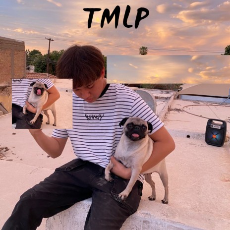 Tmlp | Boomplay Music