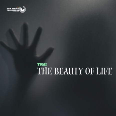 The Beauty Of Life | Boomplay Music