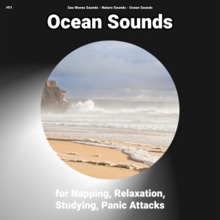 #01 Ocean Sounds for Napping, Relaxation, Studying, Panic Attacks