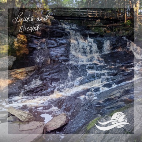 Calming Brook at Fundy National Park | Boomplay Music