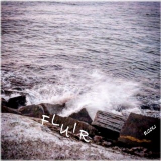 Fluir