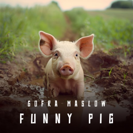 Funny Pig | Boomplay Music