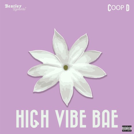 High Vibe Bae | Boomplay Music