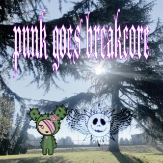 Punk Goes Breakcore