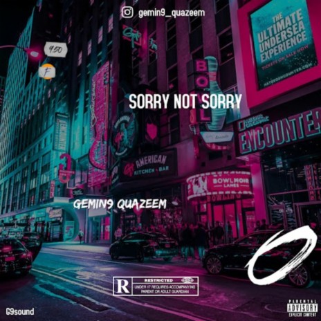 Sorry not sorry | Boomplay Music