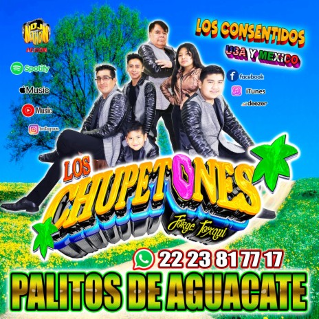 Palitos De Aguacate | Boomplay Music