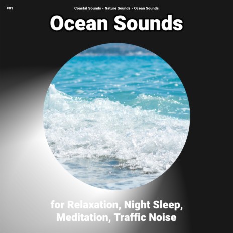 Relax & Sleep ft. Ocean Sounds & Nature Sounds
