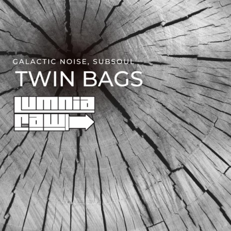 Twin Bags ft. Subsoul | Boomplay Music