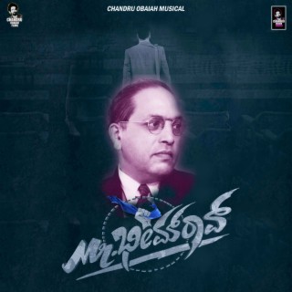 Mr Bhim Rao Title Track