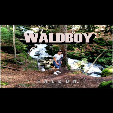 Waldboy (Freestyle) | Boomplay Music