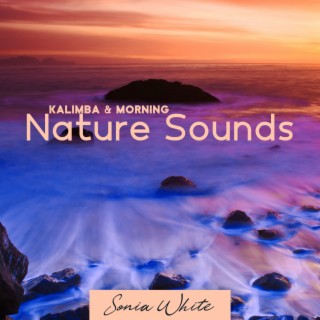 Kalimba & Morning Nature Sounds: Rain, River, Wind and Ocean Waves (Nature Ringtones 2022)