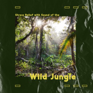 Peaceful Meditation for Stress Relief with Sound of the Wild Jungle