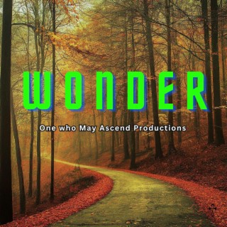 Wonder