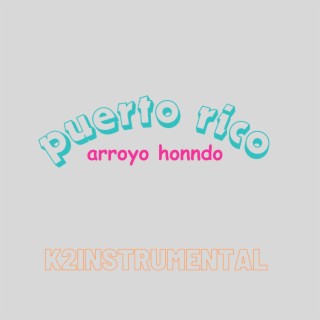 puerto rico arroyo hondo