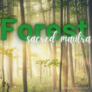 Forest Sacred Mantra (meditation, sleep and relaxation)