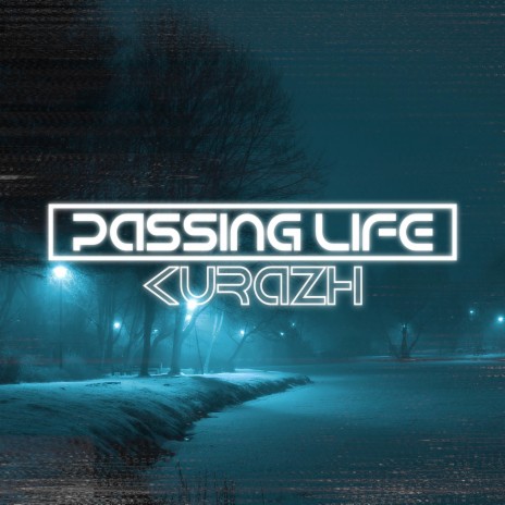 Passing Life | Boomplay Music