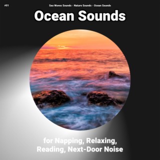 #01 Ocean Sounds for Napping, Relaxing, Reading, Next-Door Noise