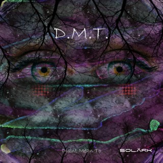 DMT(Didnt mean to)