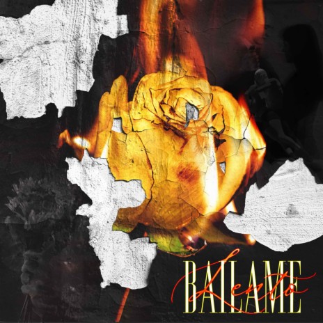 Bailame Lento ft. SoloNacho, Big pappa & Bigcatril | Boomplay Music