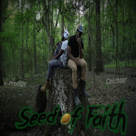 Seed of Faith ft. Coldtear | Boomplay Music