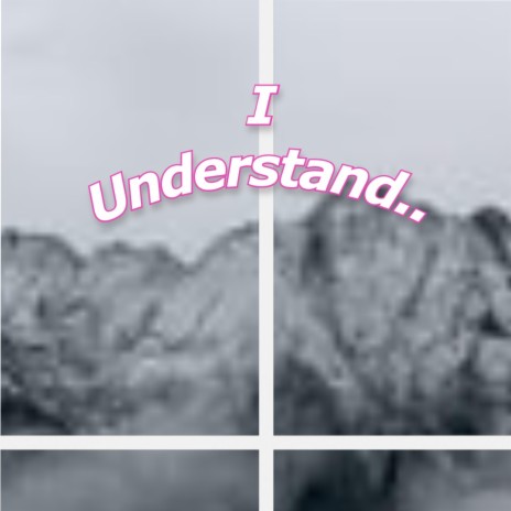 I understand