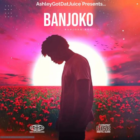See Something ft. Banjoko Boy