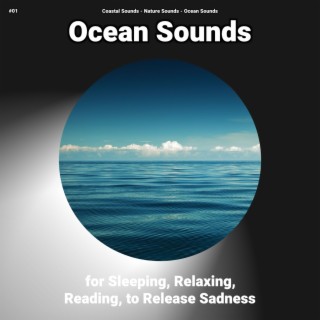 Coastal Sounds