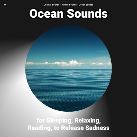 Walking Meditation ft. Ocean Sounds & Nature Sounds