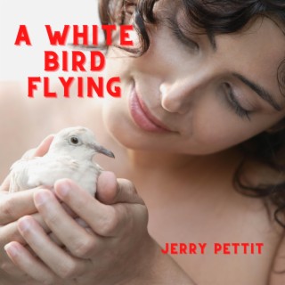 A White Bird Flying