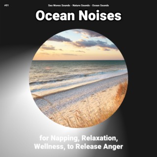#01 Ocean Noises for Napping, Relaxation, Wellness, to Release Anger