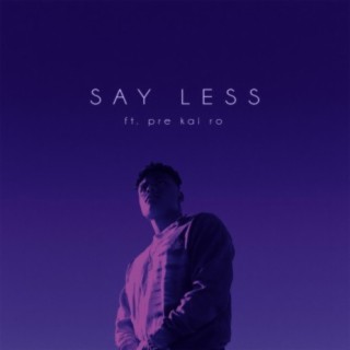 Say Less (feat. pre kai ro)