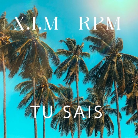 Tu Sais ft. RPM | Boomplay Music