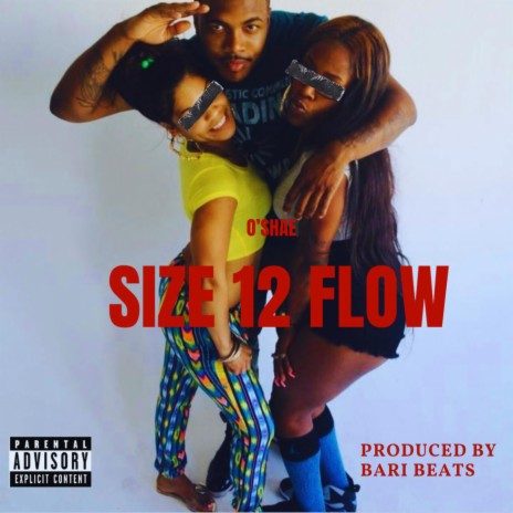 Size 12 Flow