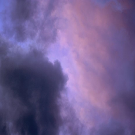 into the grey purple sky