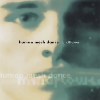 Human Mesh Dance