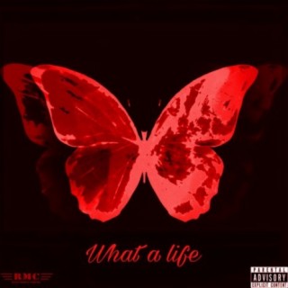 What a Life (Deluxe)