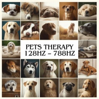 Pets Therapy 128Hz – 788Hz: Reiki for Dog's and Cat’s