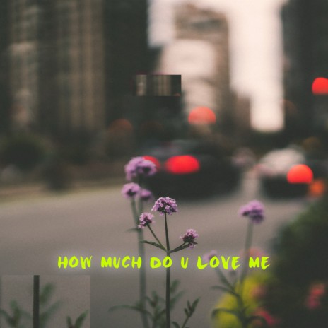 How Much Do You Love Me
