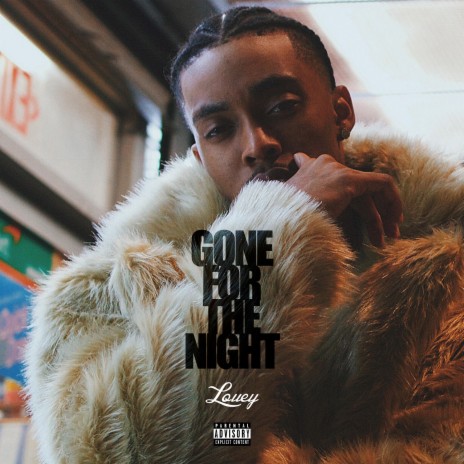 Gone for the Night | Boomplay Music