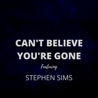 CAN'T BELIEVE YOU'RE GONE ft. STEPHEN SIMS lyrics | Boomplay Music