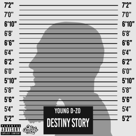 Destiny Story | Boomplay Music