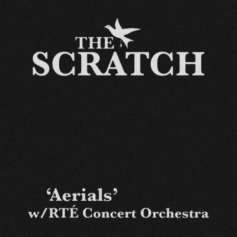 Aerials ft. RTÉ Concert Orchestra | Boomplay Music