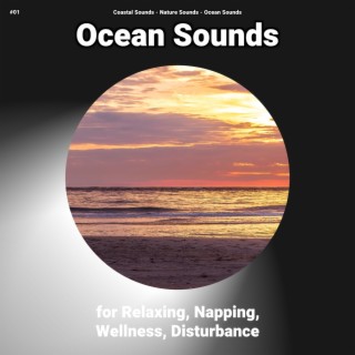 #01 Ocean Sounds for Relaxing, Napping, Wellness, Disturbance