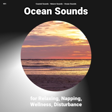 Splendid Beach Waves ft. Nature Sounds & Ocean Sounds