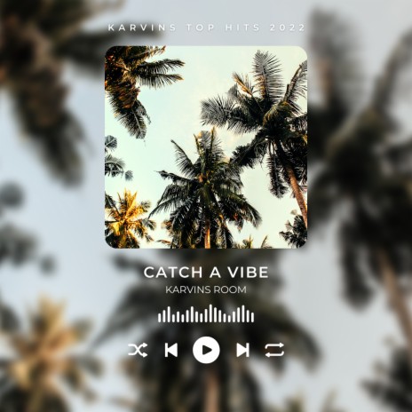 CATCH A VIBE | Boomplay Music